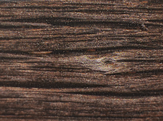 Exposed Fastener Barnwood color chip