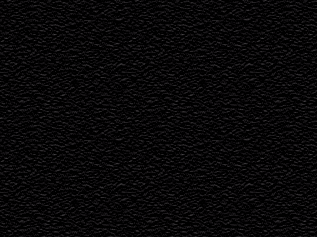 Super-Loc Panel Onyx Black color chip