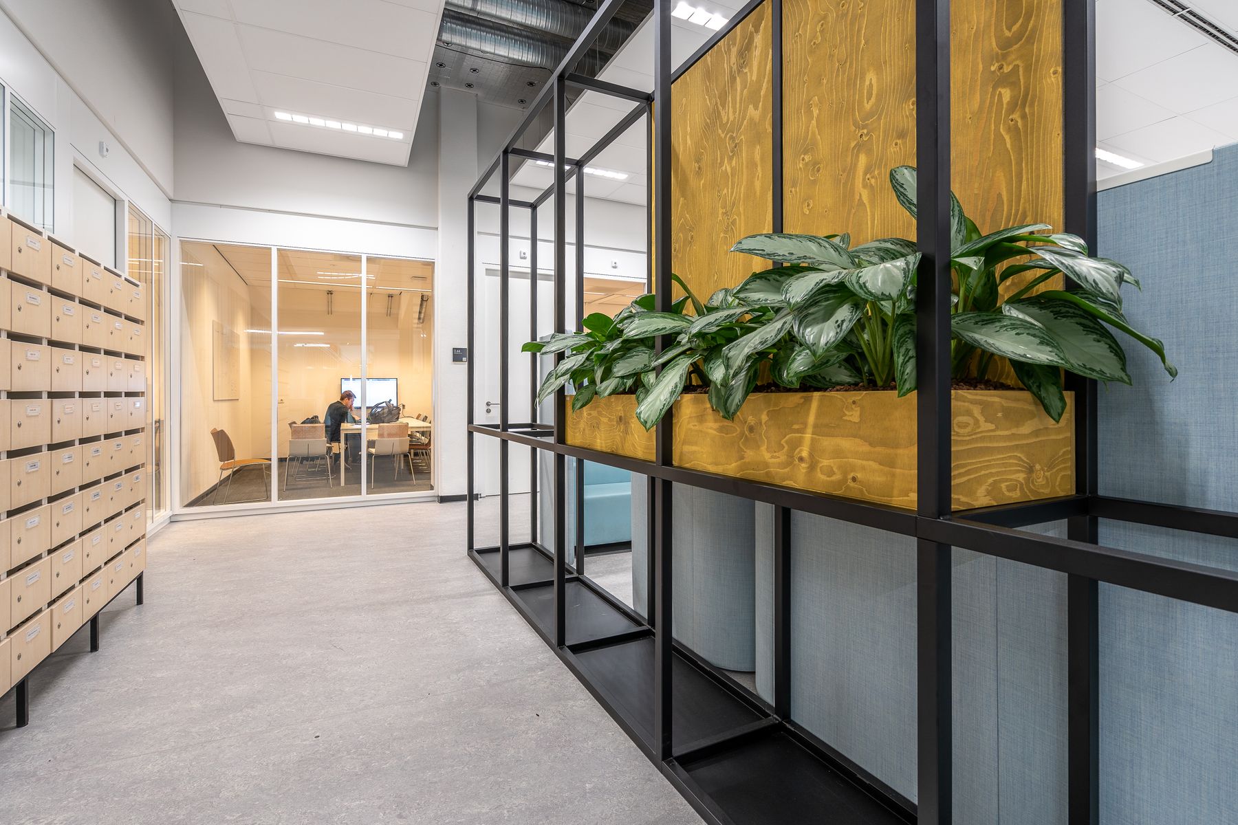 Finished commercial tenant corridor with glass-walled rooms